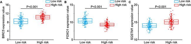 Different expression of the three genes between high risk group and low risk group.