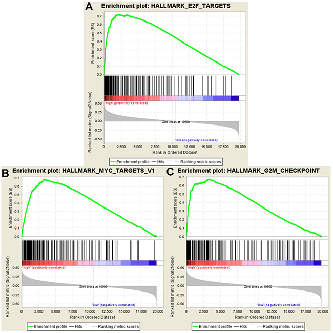 GSEA showed significant enrichment hallmarks in high-risk versus low-risk group.