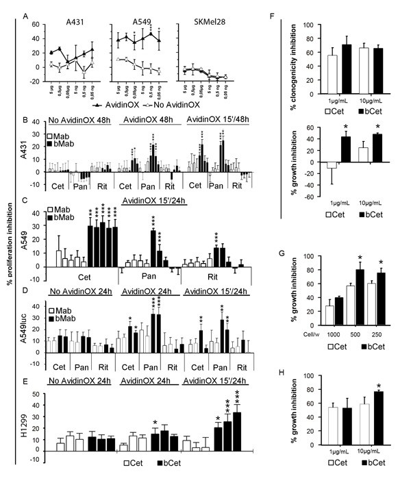 Biotinylated Cetuximab and Panitumumab inhibit growth of AvidinOX-conjugated tumor cells.