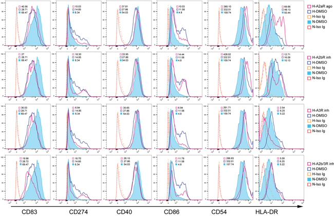 Adenosine A3R modulates DC phenotypes during hypoxia.