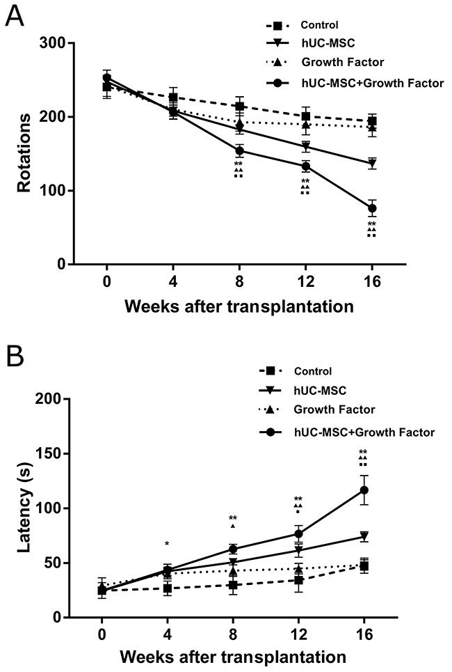 The progressive improvements on motor behaviors of 6-OHDA-lesioned rats with transplanted hUC-MSCs.