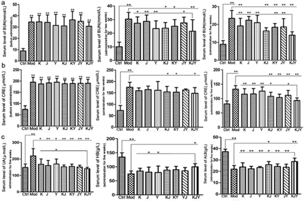 Effects of drug treatment on the serum levels of biochemical parameters in the rat model of chronic renal failure.