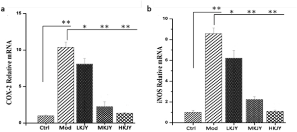Effect of KJY on inhibiting mRNA expression of COX-2 and iNOS in LPS-induced RAW264. 7 Macrophage.
