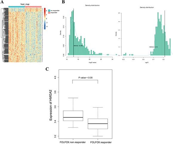 Increased expression of HMGA2 in the non-responder group of FOLFOX regimen in CRC.