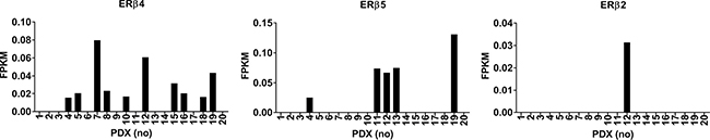 Analysis of RNA-seq data from breast cancer PDX for expression of ER&#x03B2;2, ER&#x03B2;4 and ER&#x03B2;5.