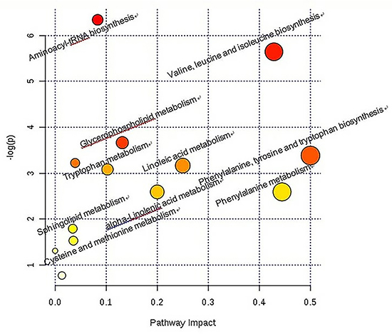 Construction of the altered metabolism pathways in glucocorticoid injections in Japanese white rabbits.