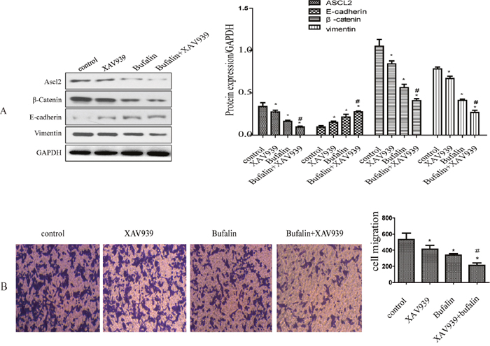 Figure 4: