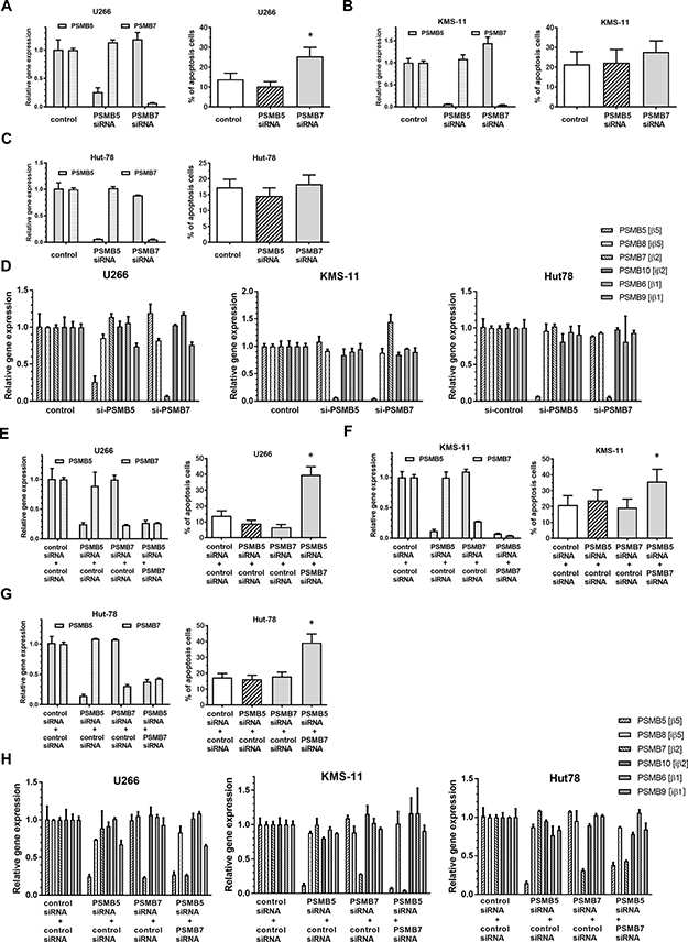 Apoptosis induction and altered expression of ubiquitinated proteins by co-inhibition of expression of PSMB5 and PSMB7 in tumor cells.