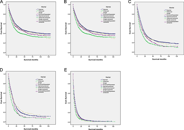 Survival curves for married and unmarried biliary tract cancer patients by stage.