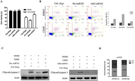 miR-382 enhanced CDDP-induced apoptosis in osteosarcoma (OS) cell lines.