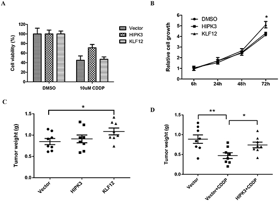 HIKP3 and KLF12 stimulate chemosensitivity and OS cell growth, respectively.