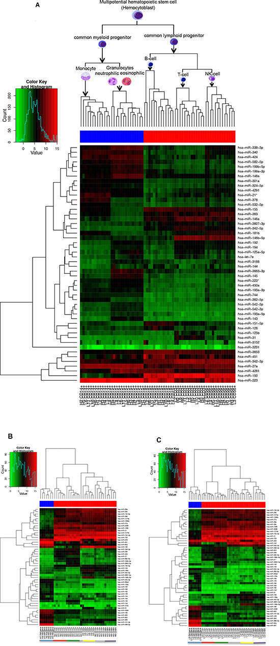 Heatmap using the 50 miRNAs with the highest variance over all analyzed samples.