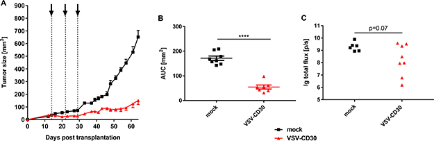 Oncolytic activity in vivo after systemic administration of VSV-CD30.