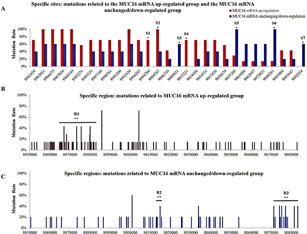 Distribution of mutations within the MUC16 gene.