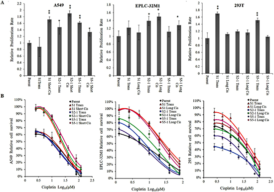 Cellular proliferation and resistance to cisplatin in cultured cells after MUC16 gene editing.