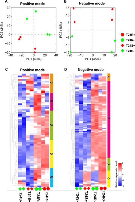 Differentially expressed lipids in T24R compared to T24S.