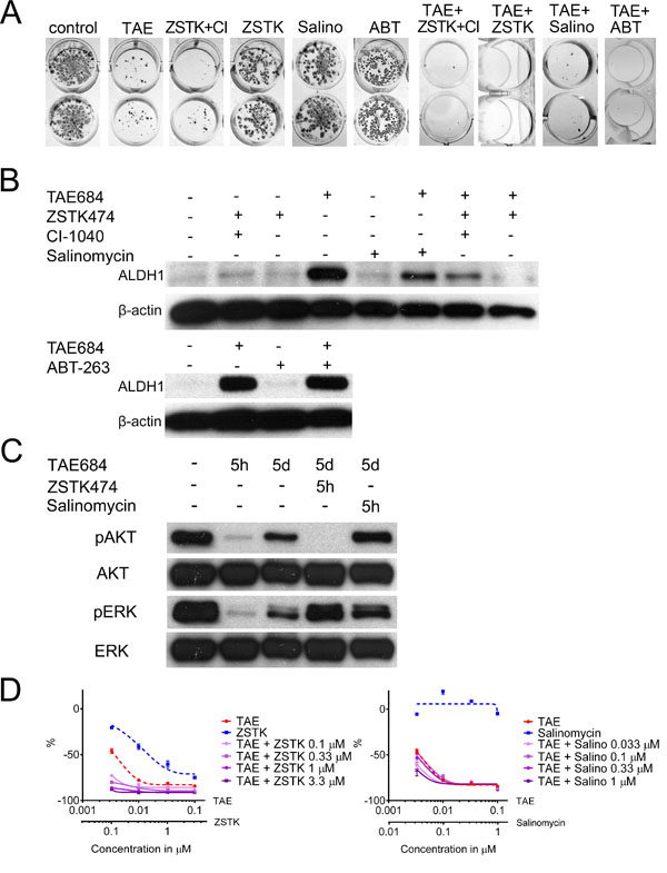 Drug Combinations for Promoting Adaptive Resistance and the Cancer Stem-Like Cell Phenotype.