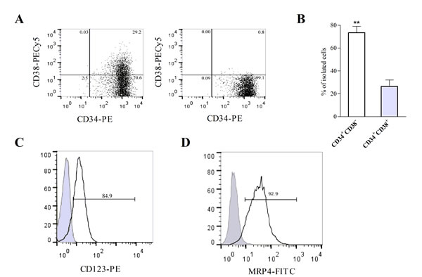 KG-1a cell line contains leukemic stem-like cells expressing MRP4/ABCC4.