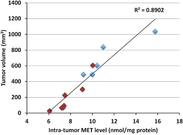 Correlation between tumor volume and intra-tumor MET level in the pancreatic cancer PDOX.