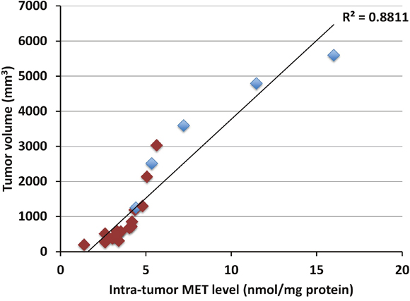 Correlation between tumor volume and intra-tumor MET level in the melanoma PDOX.