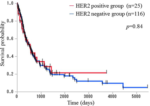 Kaplan&#x2013;Meier overall survival curves for patients with stage III and IV disease in the HER2 positive and the HER2 negative groups.