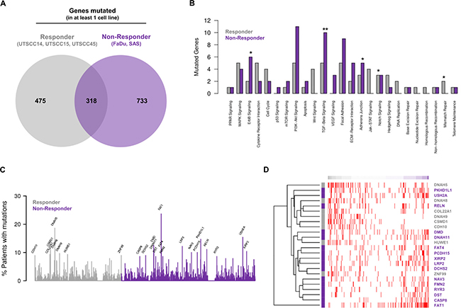 Mutational