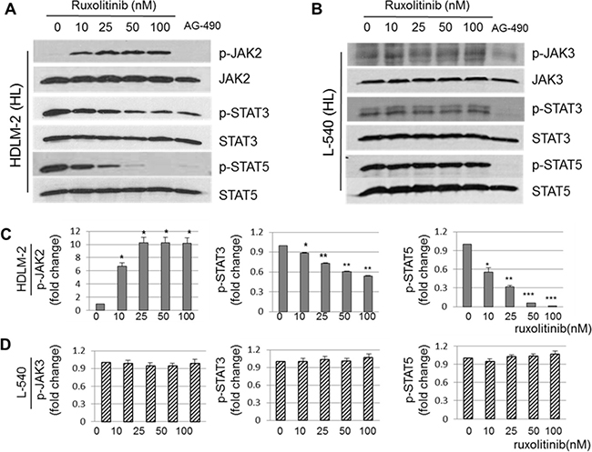 Selective activity of ruxolitinib on the JAK2/STAT signaling pathway in HL cells.