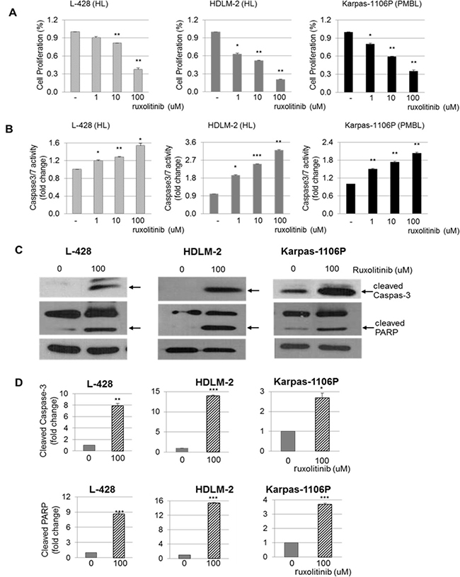 Cell proliferation, Caspase 3/7-dependent apoptosis and cleaved Caspas-3 and PARP in HL and PMBL cells.