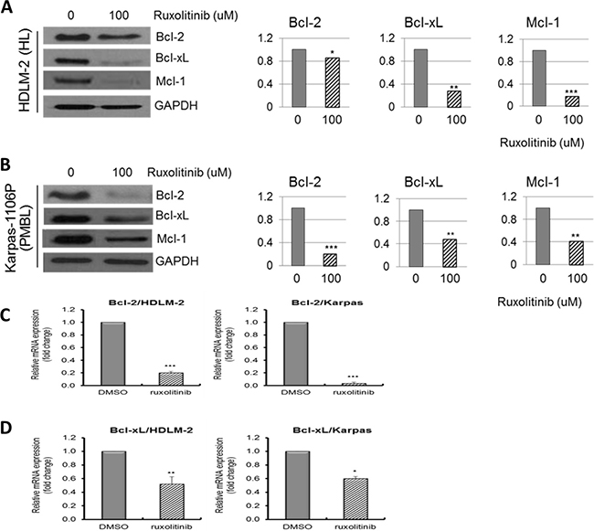 Downregulation of pro- and anti-apoptotic proteins and gene expression in HL and PMBL cells.