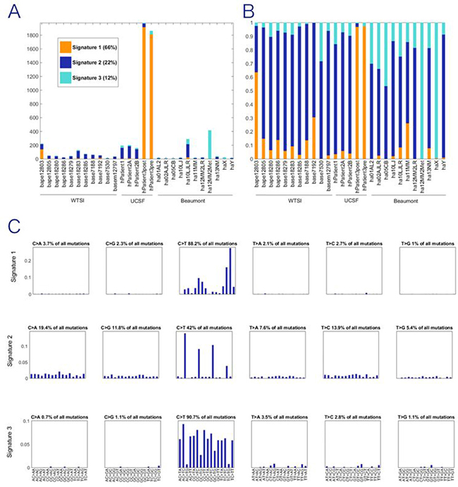 Exposures for NMF trinucleotide mutational signatures for combined dataset.