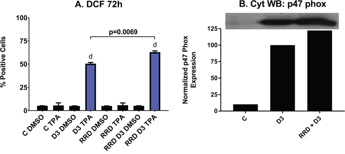 RRD-251 increases the D3-induced respiratory burst and oxidative metabolism.