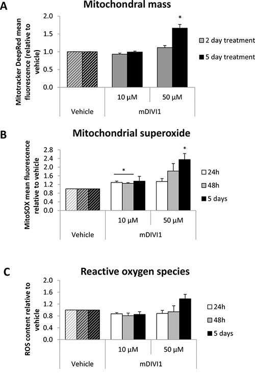 Treatment of MCF7 cells with mDIVI1 significantly increases their mitochondrial mass and mitochondrial oxidative stress at 50 &#x03BC;M.