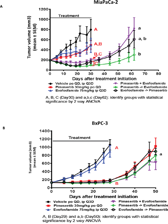 The combination of evofosfamide with pimasertib increases the anti-tumor response beyond the activity of each single agent alone in BRCA wt but not BRCA aberrant xenograft models.