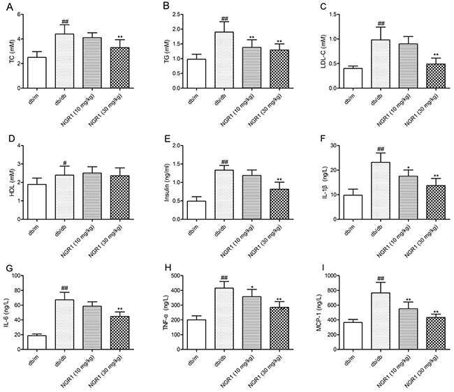 NGR1 influences lipids, insulin, and cytokines in plasma of db/db mice.