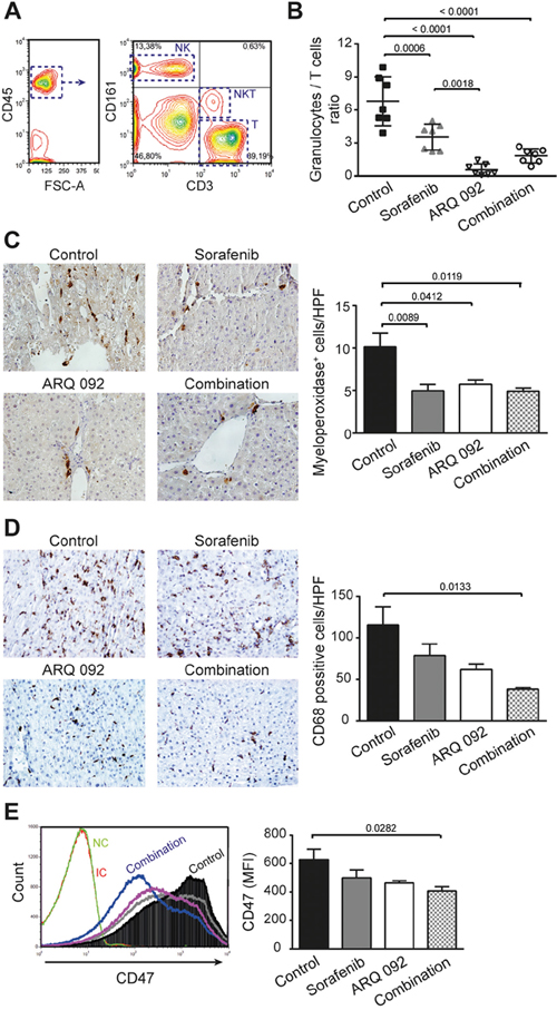 Effect of combination treatment on immune system and tumor microenvironment.