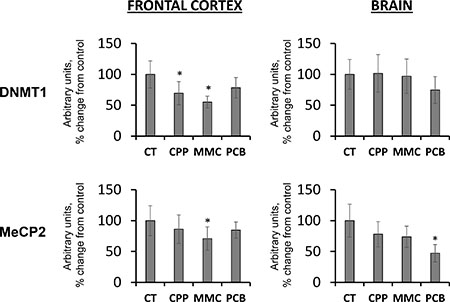 Changes in the levels of DNMT1 and MeCP2 in the brain tissues of progeny of chemotherapy-exposed parents.