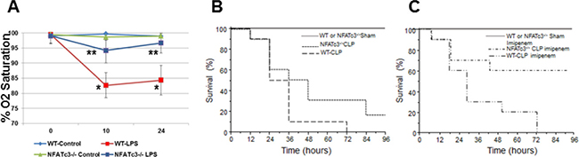 NFATc3&#x2013;/&#x2013; mice show improved arterial Oxygen saturation and survival compared to wild type mice.