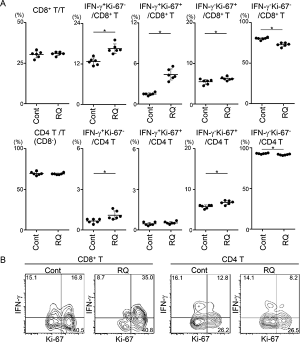 Resiquimod enhances activation of CD8+ T cells in RLNs and the TME.
