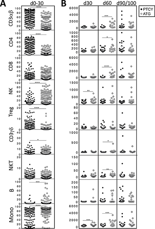 Comparison of numerical immune reconstitution between PTCY and ATG groups considering the whole cohort.