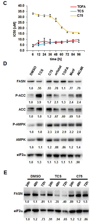 fig1c