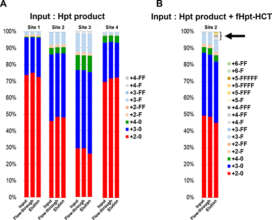 Affinity chromatography with the 10-7G mAb followed by site-specific analyses of N-glycans on haptoglobin by mass spectrometry.