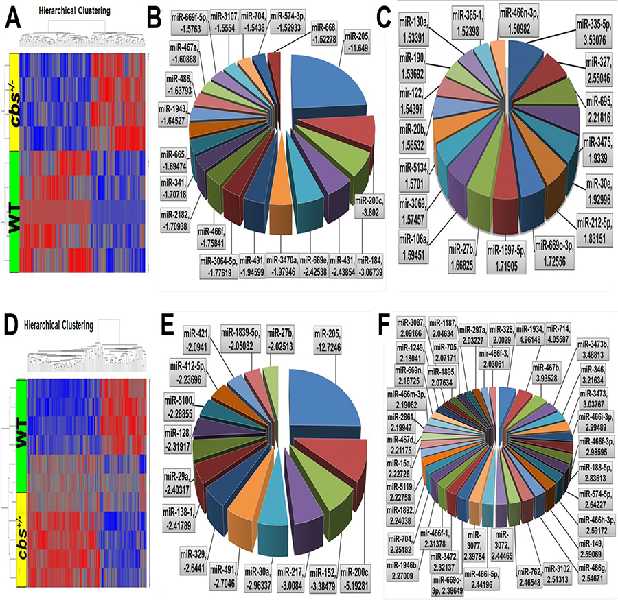 Differential expression profile of miRNAs in cbs&#x2013;/&#x2013; and cbs+/&#x2013; mouse retina.