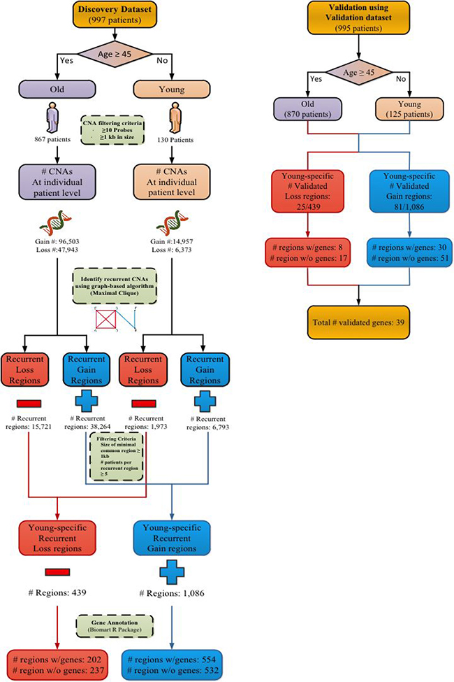 Analysis flowchart for identifying recurrent CNA regions.