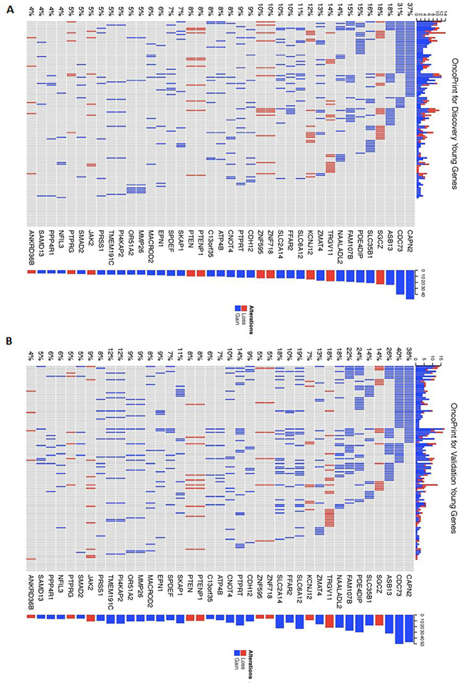 Heatmap of mutation distribution for genes identified in the recurrent young-specific CNA gain and loss regions.