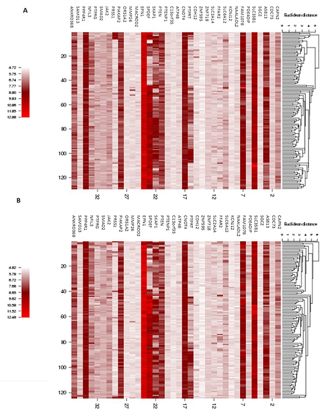 Heatmap of gene expression for the genes identified in the recurrent young-specific CNA regions in young breast cancer patients.