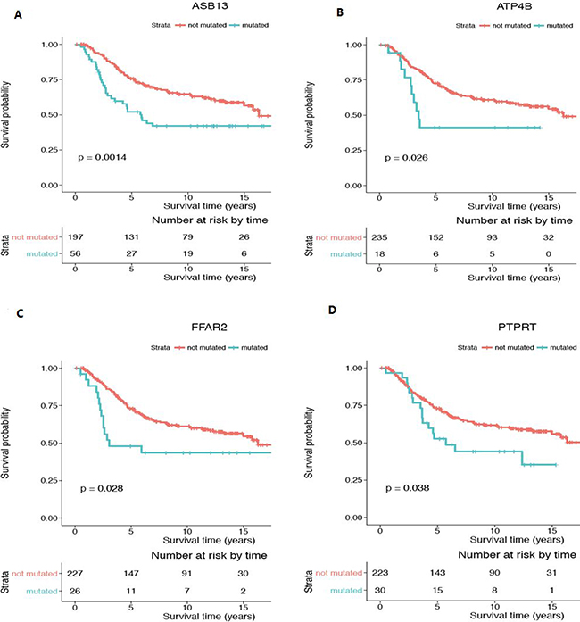 Kaplan-Meier survival analysis for genes with significant CNA gain mutations in the young women group.