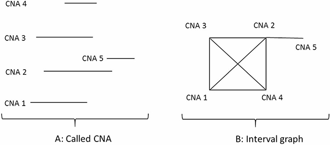 Representing CNAs as an interval graph.