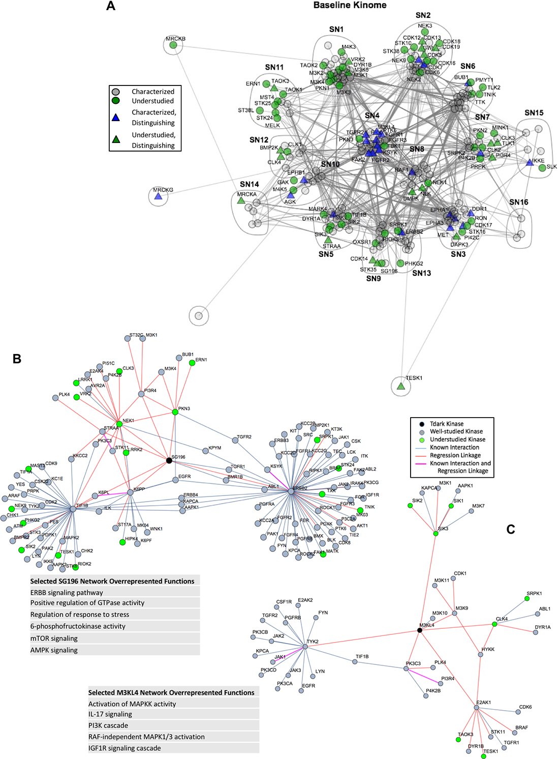 Subnetworks