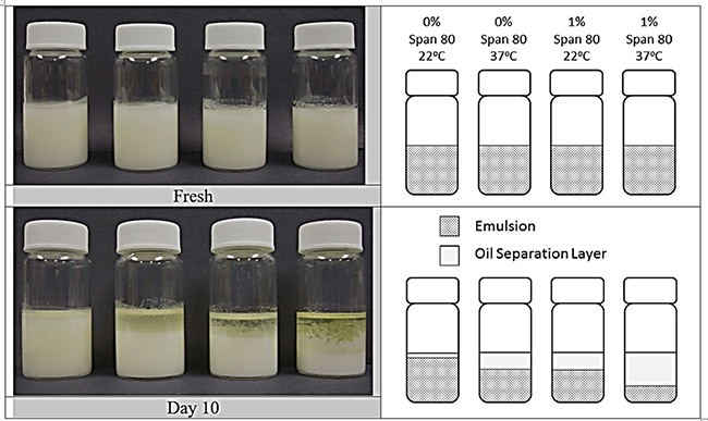 Stability of MPSE without solute added, but containing 0 or 1% Span 80 in the oil phase, as compared for freshly prepared emulsions (top) and emulsions after ten days (bottom).