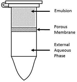 Release apparatus used to capture OP released from MSPE for use in cell viability assays.